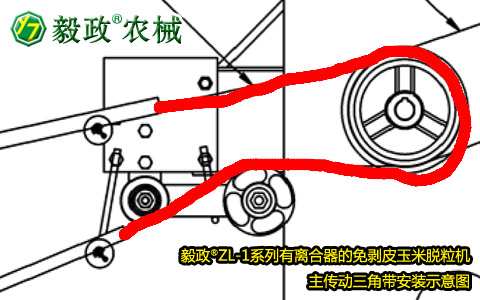 毅政牌ZL1系列有離合器的免剝皮玉米脫粒機(jī)，主傳動(dòng)三角帶正確安裝